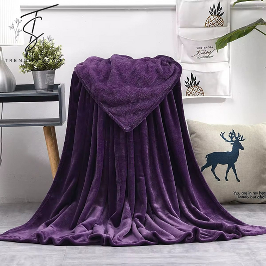 Cozy Elegant Plush Fleece AC Blanket